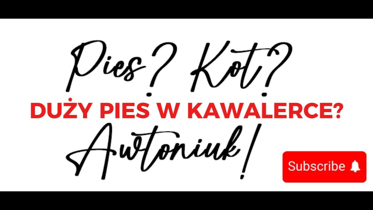 Czy pies w bloku się męczy, kot agresywny przy głaskaniu, odc. 4 (4/2025) #awtoniuk #behawiorystka