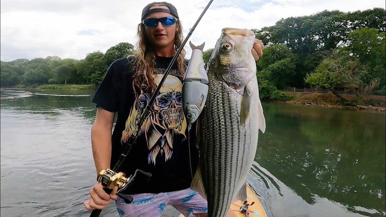 Giant fish pulls me 100 yards down river!