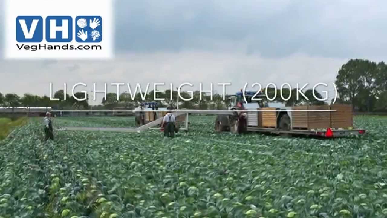 BAP Harvesting Belts