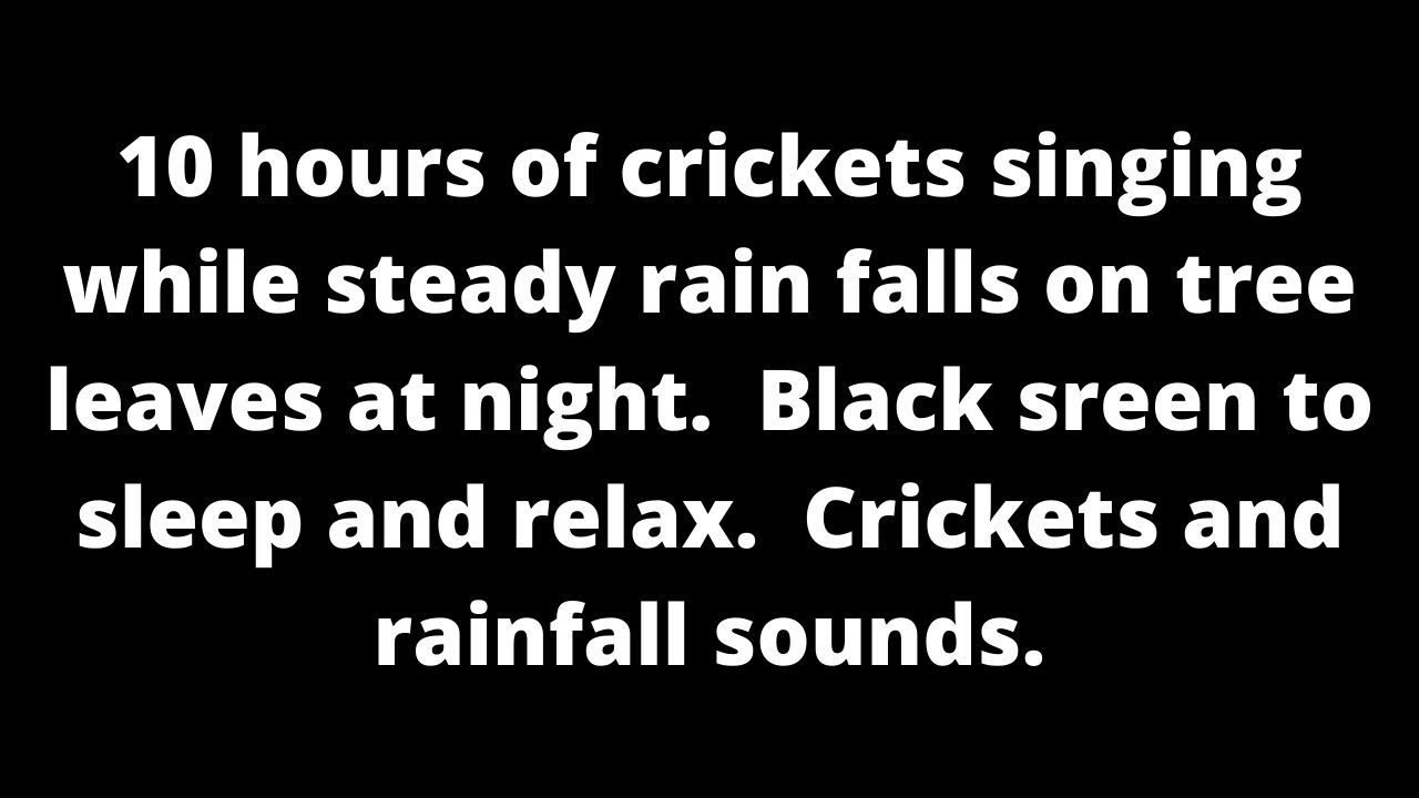 Crickets singing steady rain on forest leaves, Cricket sounds rain sounds black screen sleep & relax