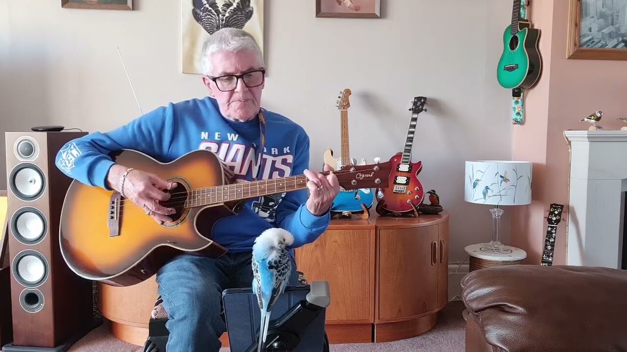 Secret Garden on an Ozark Tenor Guitar (Please click on more for the chords and lyrics.)