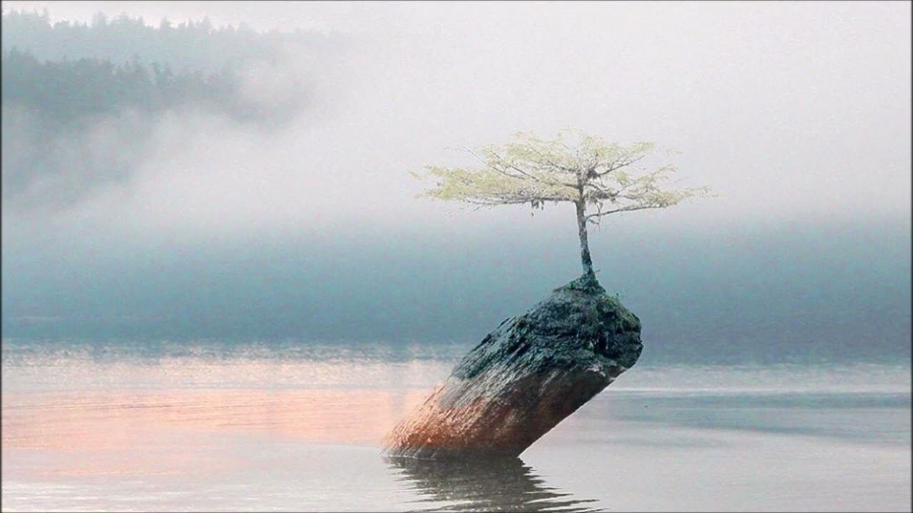 💚L'ATTESA Eric Baret Yoga Tantrico Kashmiro Rossana Trabattoni Yoga Meditazione Vipassana Varese