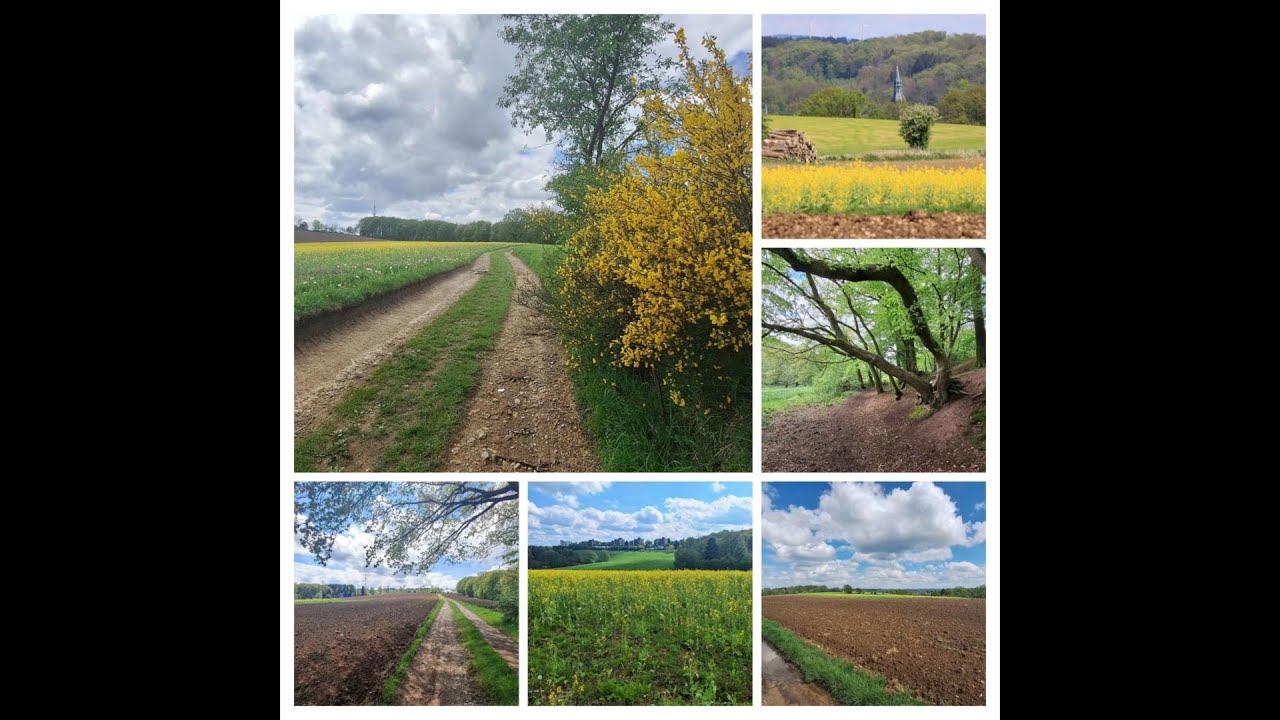 240505   Wanderung Hückeswagen UHD