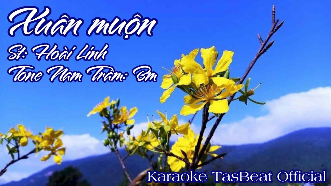 Karaoke  Xuân Muộn Tone Nam Trầm | TAS BEAT