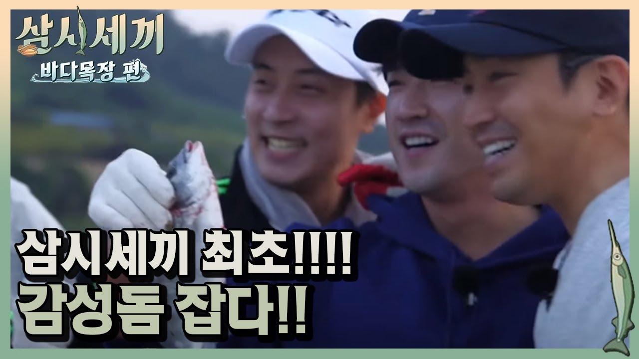 민우!! 삼시세끼 역사의 한 획을 긋다!!ㅣ#삼시세끼바다목장편 171006 EP.10 #06