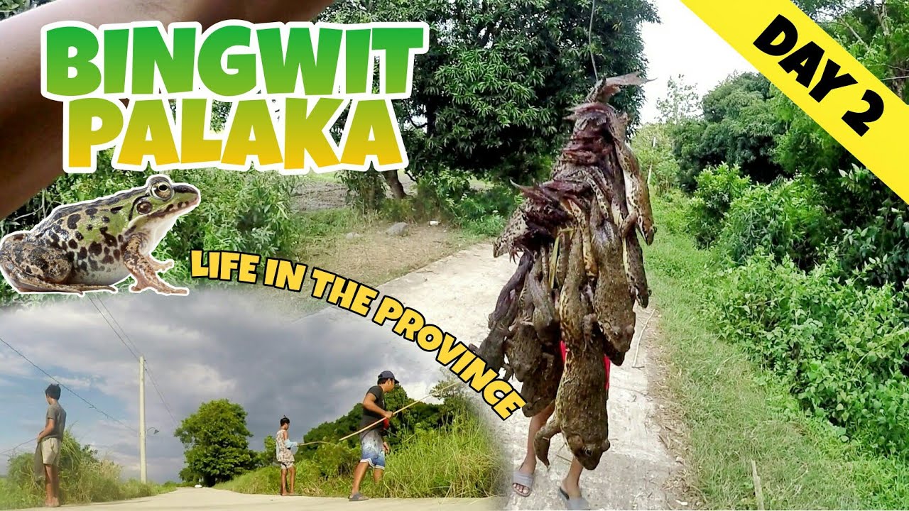 BINGWIT PALAKA DAY 2 PART 2 | Life in the Province 🐸
