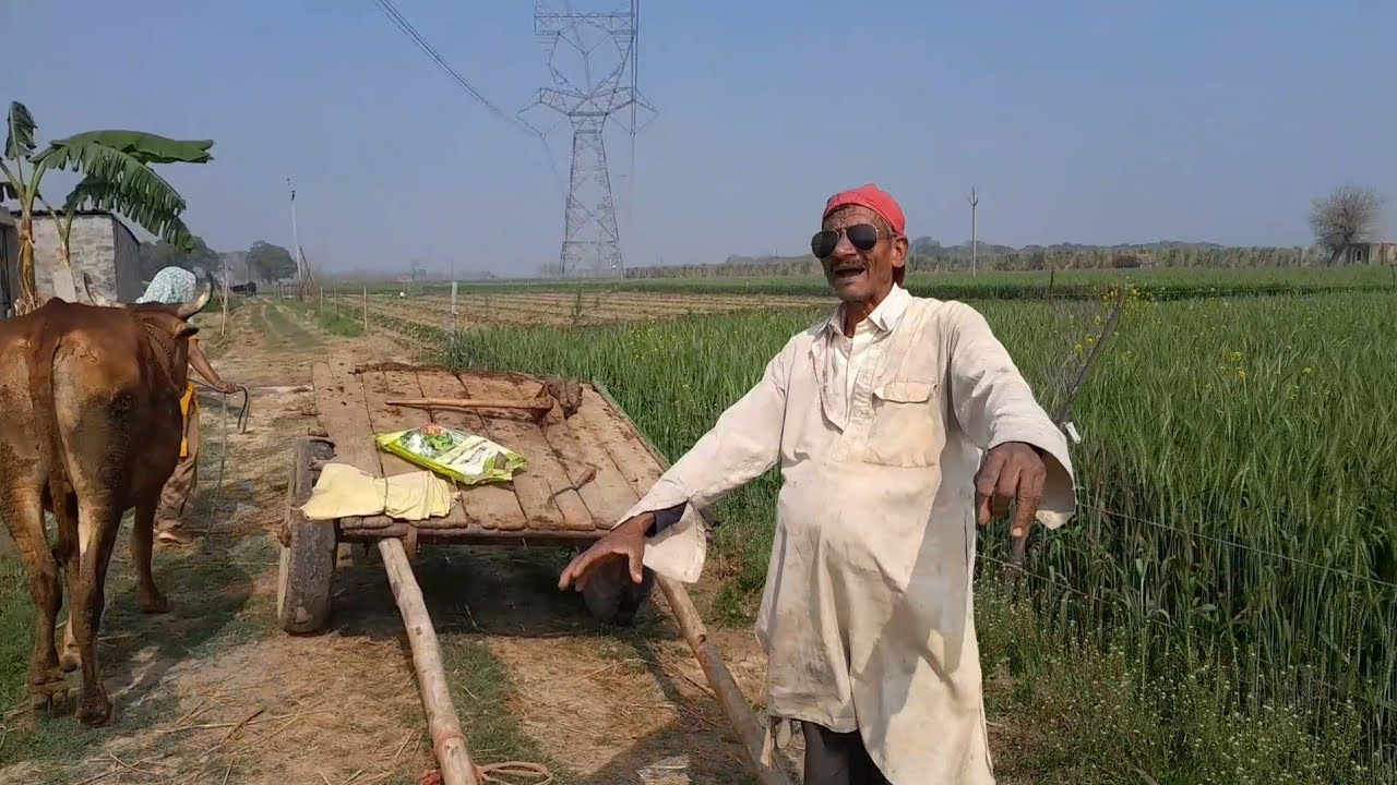 बुङे ने खा ली चालीस रोटी ..😱#coshabh550comedy #newमारवाड़ीcomedy #funny #long #full #video 😆🤭