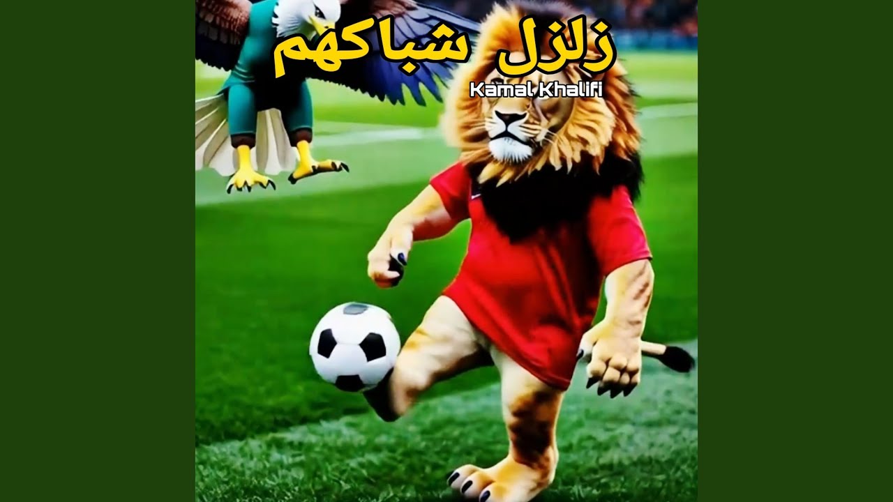 زلزل شباكهم