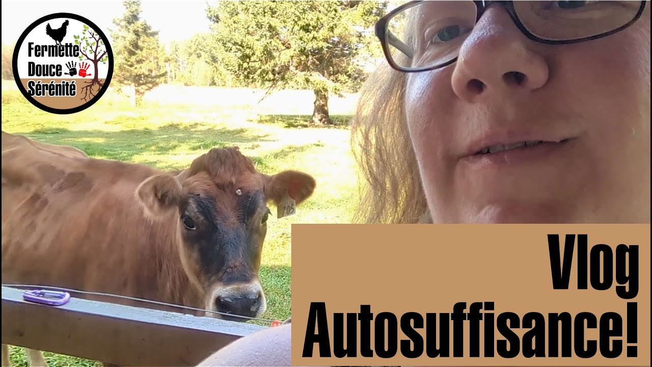 Vlog #autosuffisance - La réalité de la vie sur une fermette avec des animaux! #340