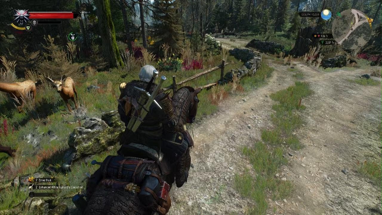 The Witcher 3: Wild Hunt - Complete Edition_20260215100302