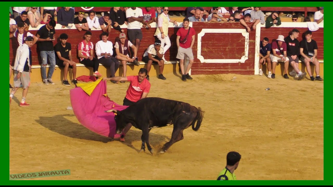 SORIA  VAQUILLAS EN PLAZA ( JUEVES 29 JUNIO 2023 ) GANAD.FUENTERROBLE