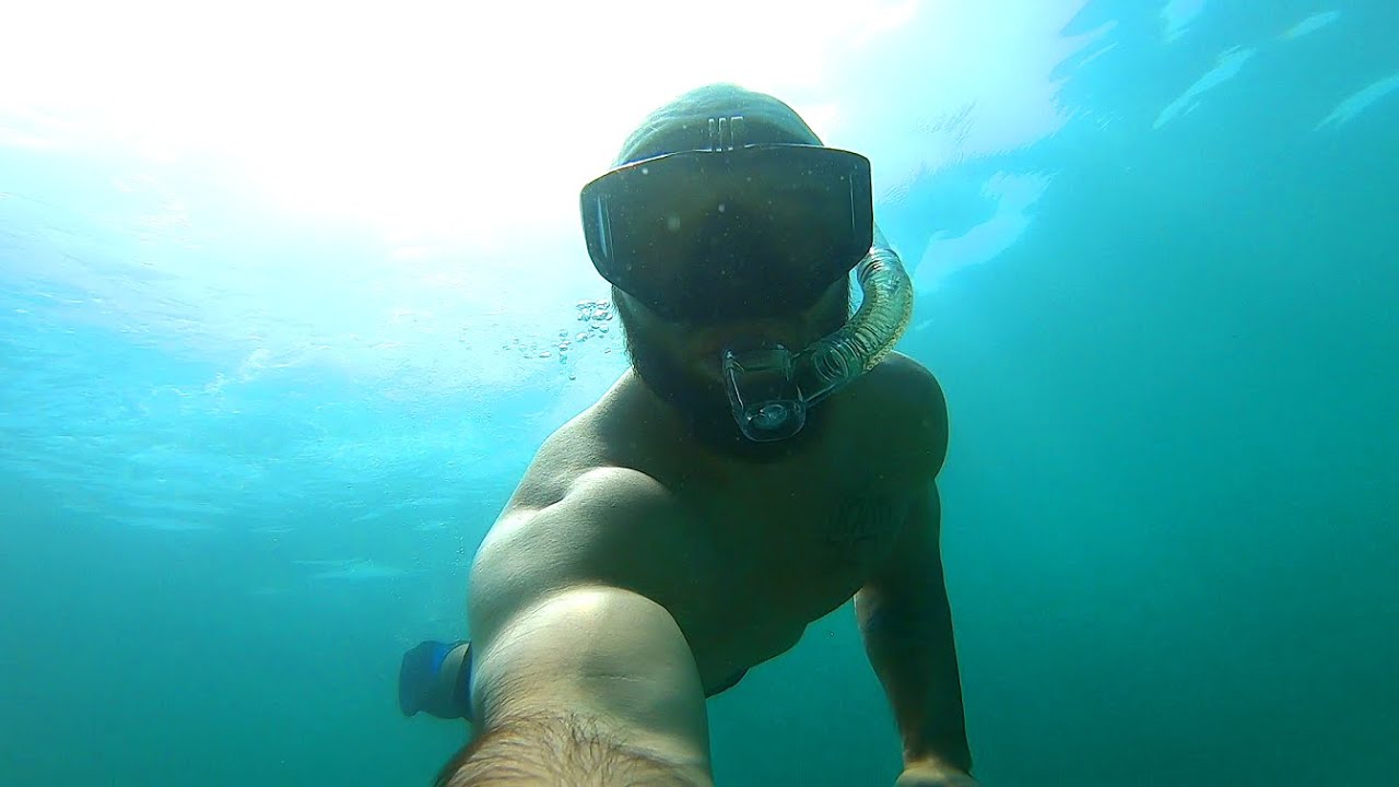 Artificial Reef Snorkeling | Dania Beach Florida