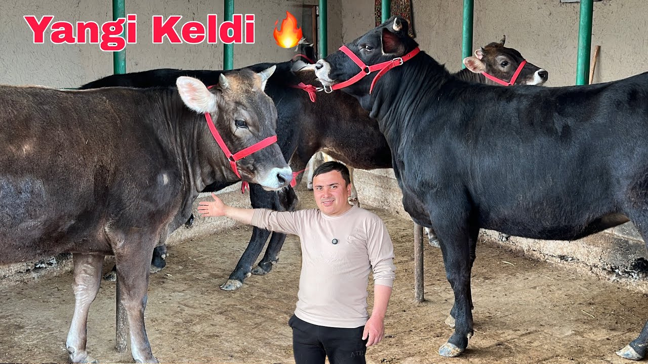 ARZONCHI 🥇AKADAN 💥YANGI PARTIYA ✅