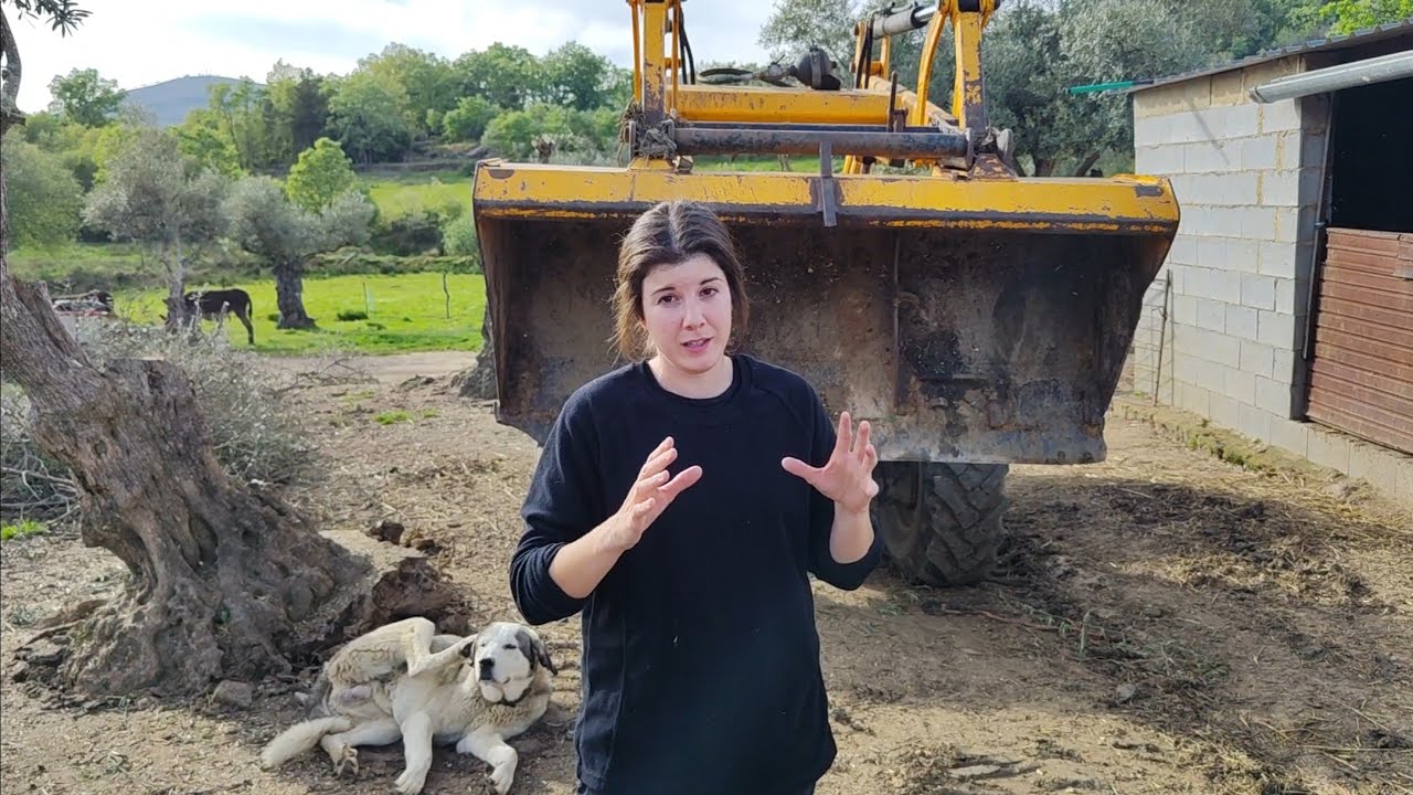 Os presento a otras nuevas integrantes de la granja, no paramos últimamente