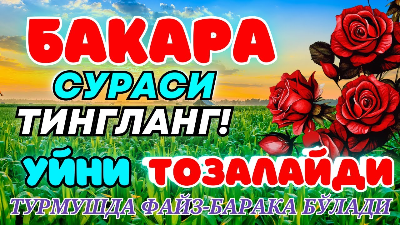 Surah Al Baqarah. Beautiful recitation. Бақара сүресі. Бұл сүре оқылған үйден ШАЙТАНДАР қашады.