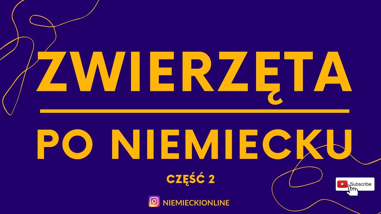 Zwierzęta po niemiecku z wymową część 2 Kurs A1 Niemiecki od podstaw Dzikie zwierzęta po niemiecku