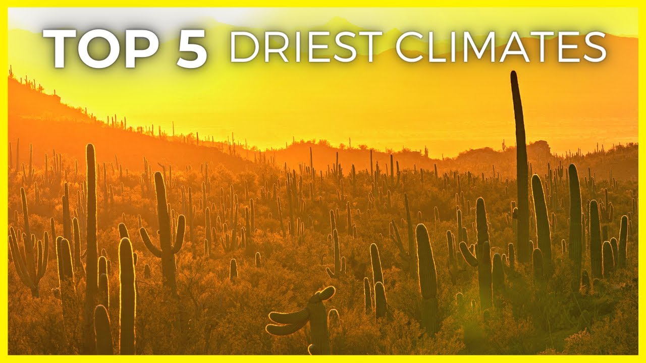 Top 5 States with the Lowest Humidity