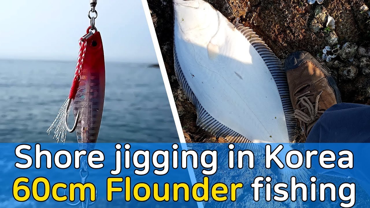 [ROCKYSHORE] Fishing trip - #04 Flounder(Flatfish) 60cm by shore jigging, metal jig lure fishing