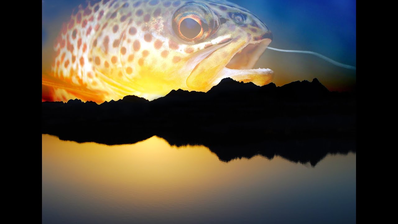 Fishing - This is my passion
