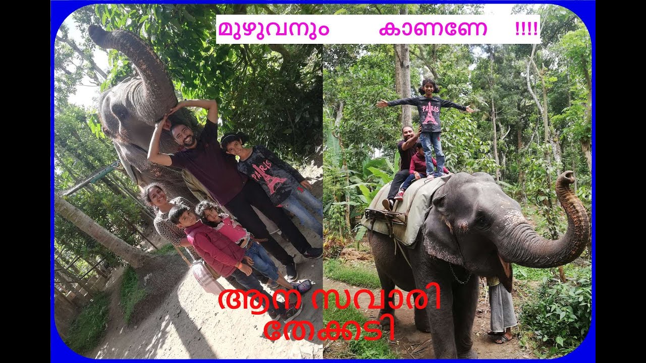 Family Trip to Thekkady Elephant Safari Malayalam #FUNKIDZ WORLD#