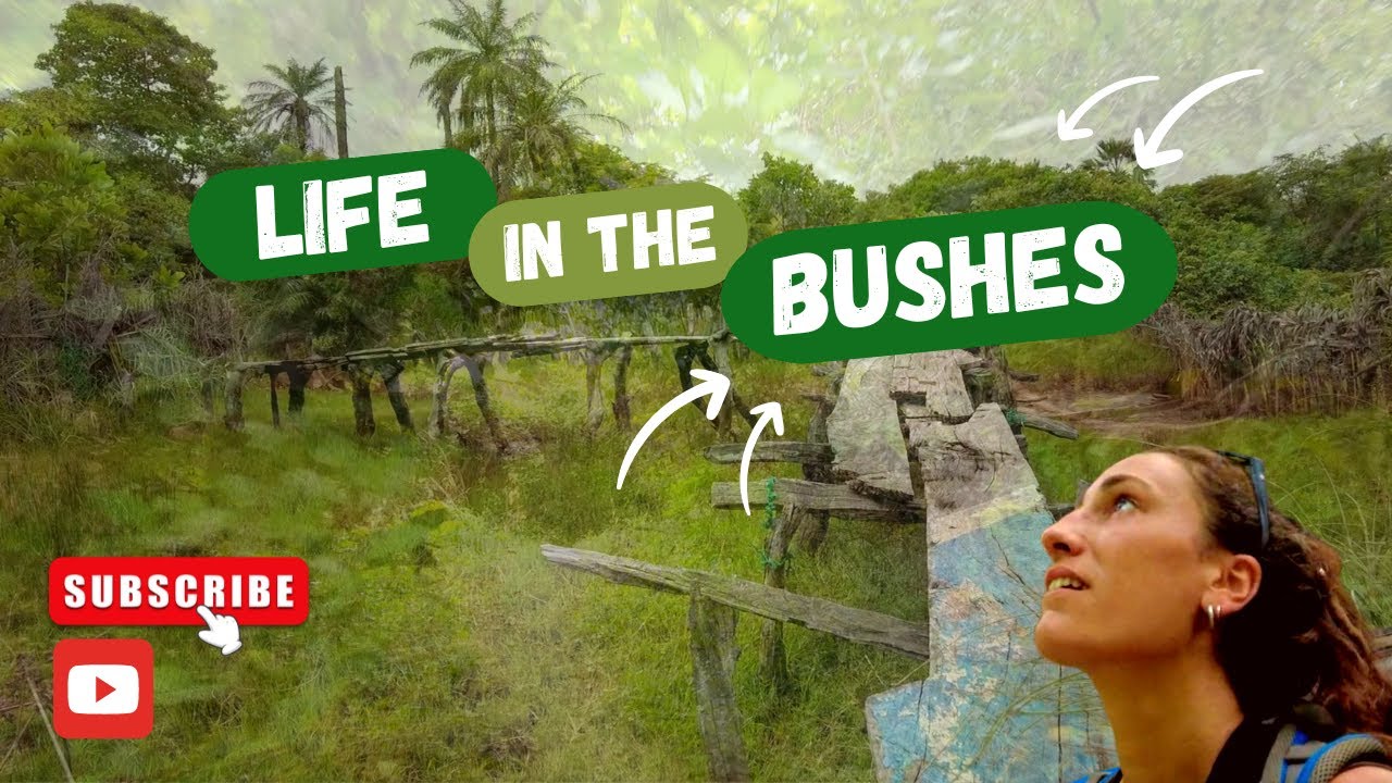 Life In The Bushes: KAFOUNTINE, CASAMANCE (SENEGAL)