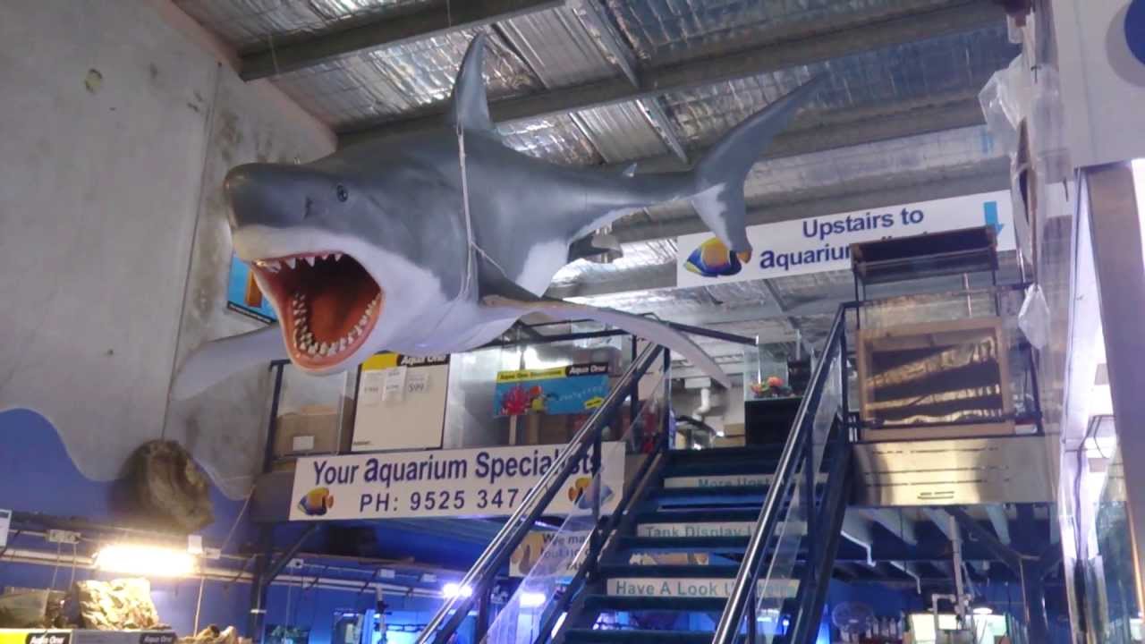 Jaws Jr has now been hung!