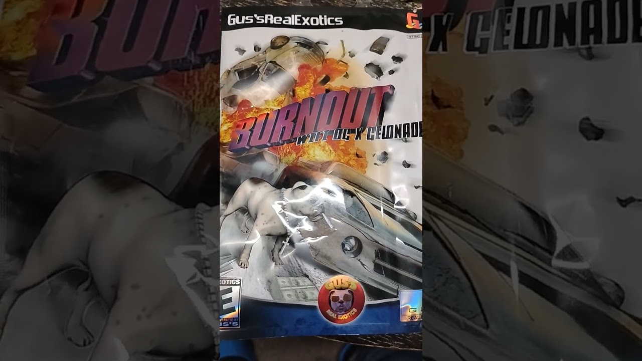 gus realexotics wifi x gelonade #subscribe