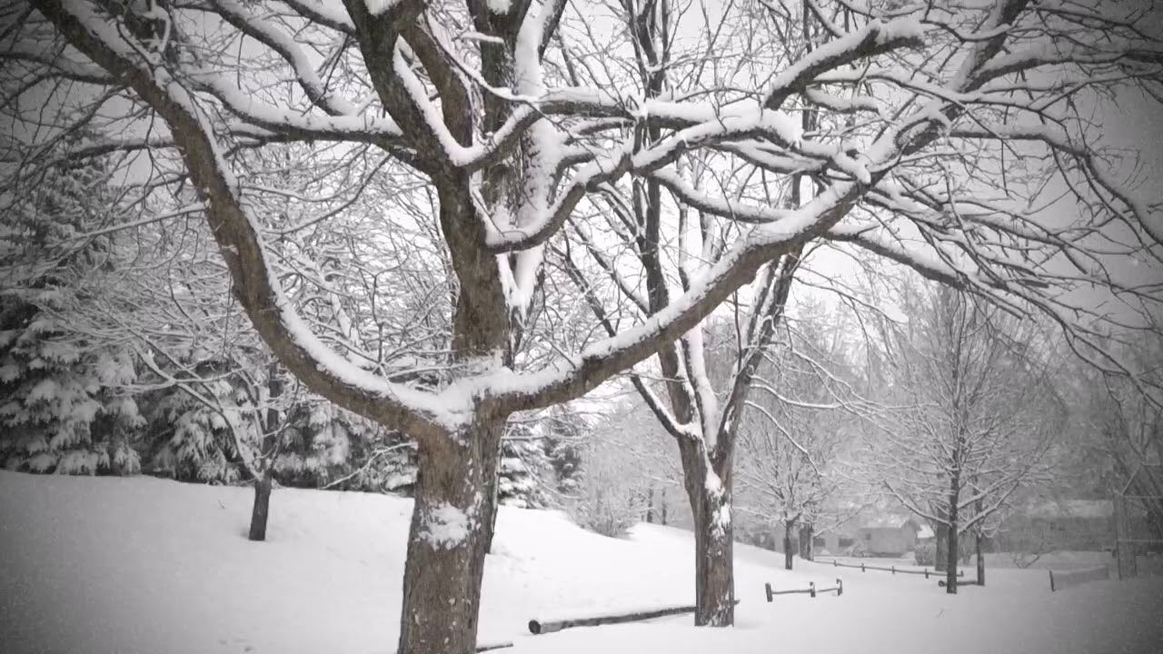 CANADIAN WINTER TO SUMMER . @ottawa||Algonquin college|canadian mallu