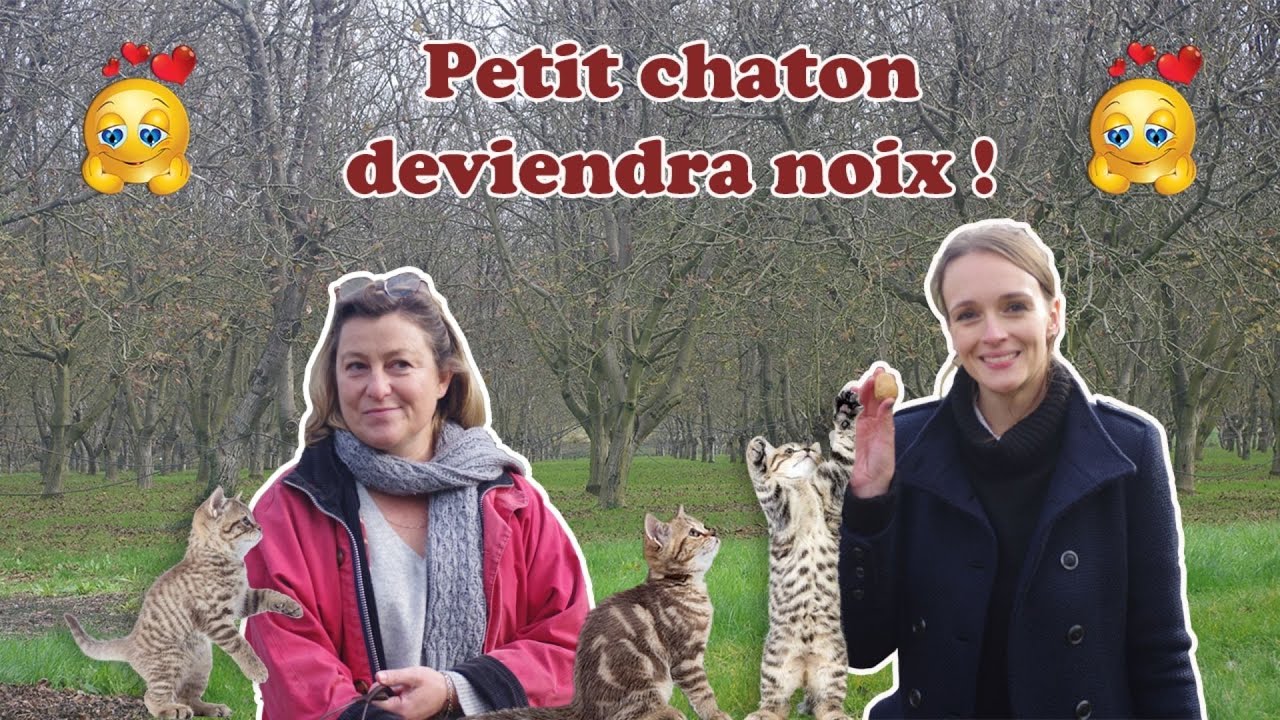 Visitez l’exploitation de noix de la Noyeraie des Borderies #3