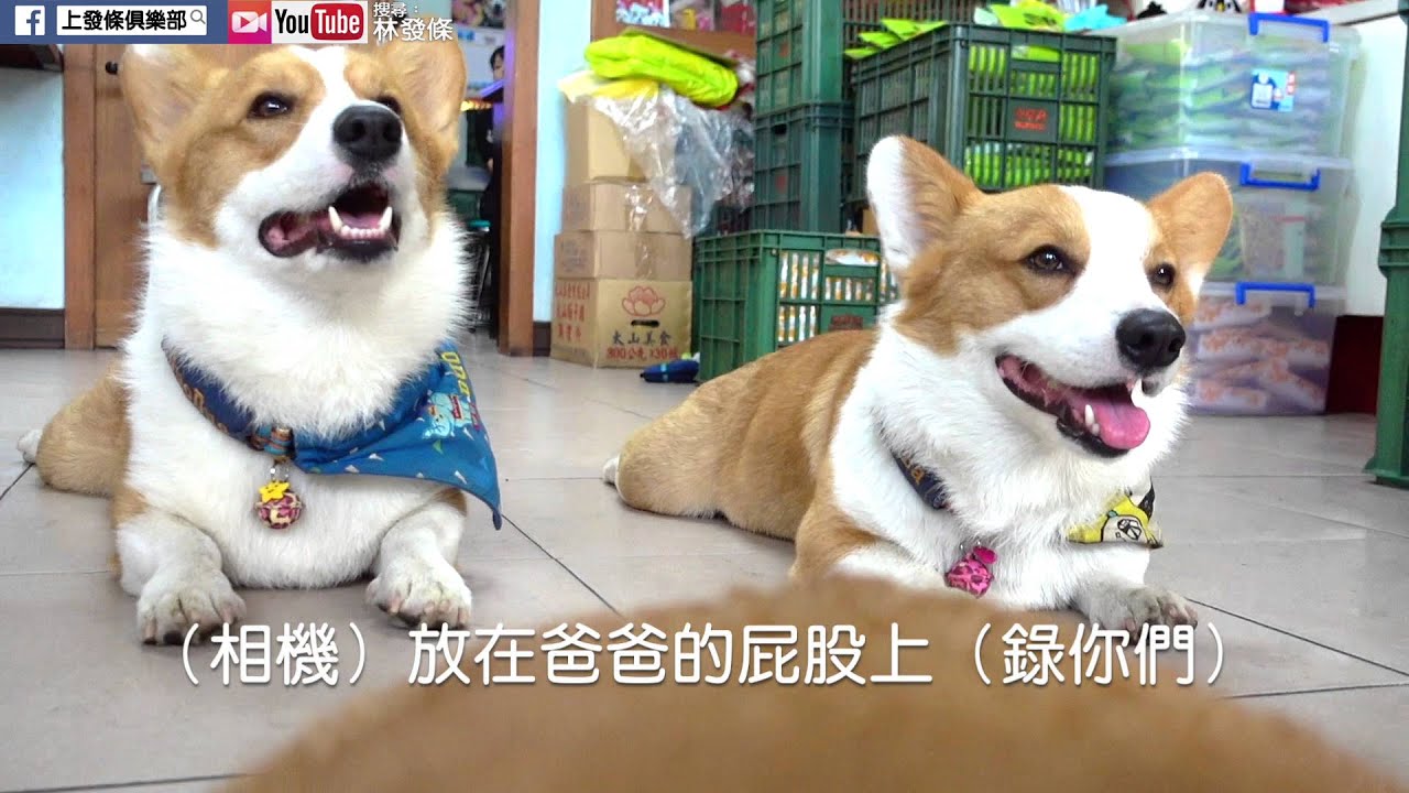 [連環泡]笑笑家族