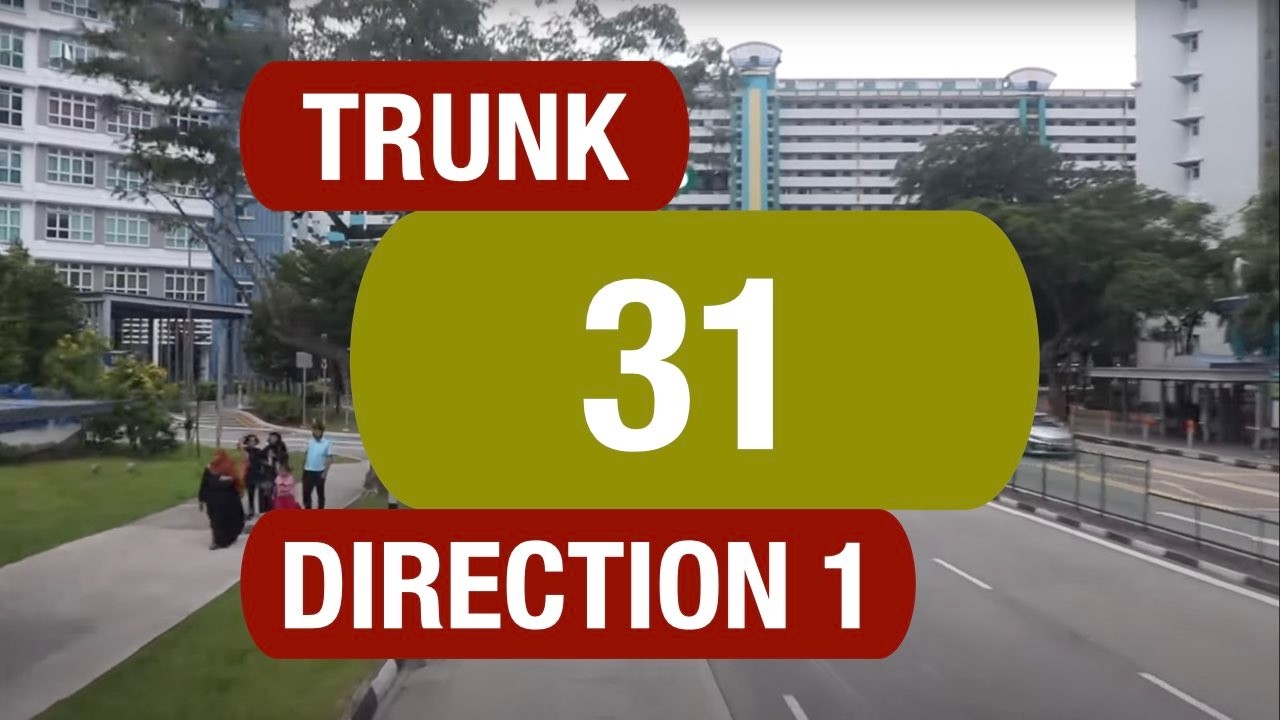 SBS Transit Trunk 31 (Direction 1) | Bus Service Route Visual