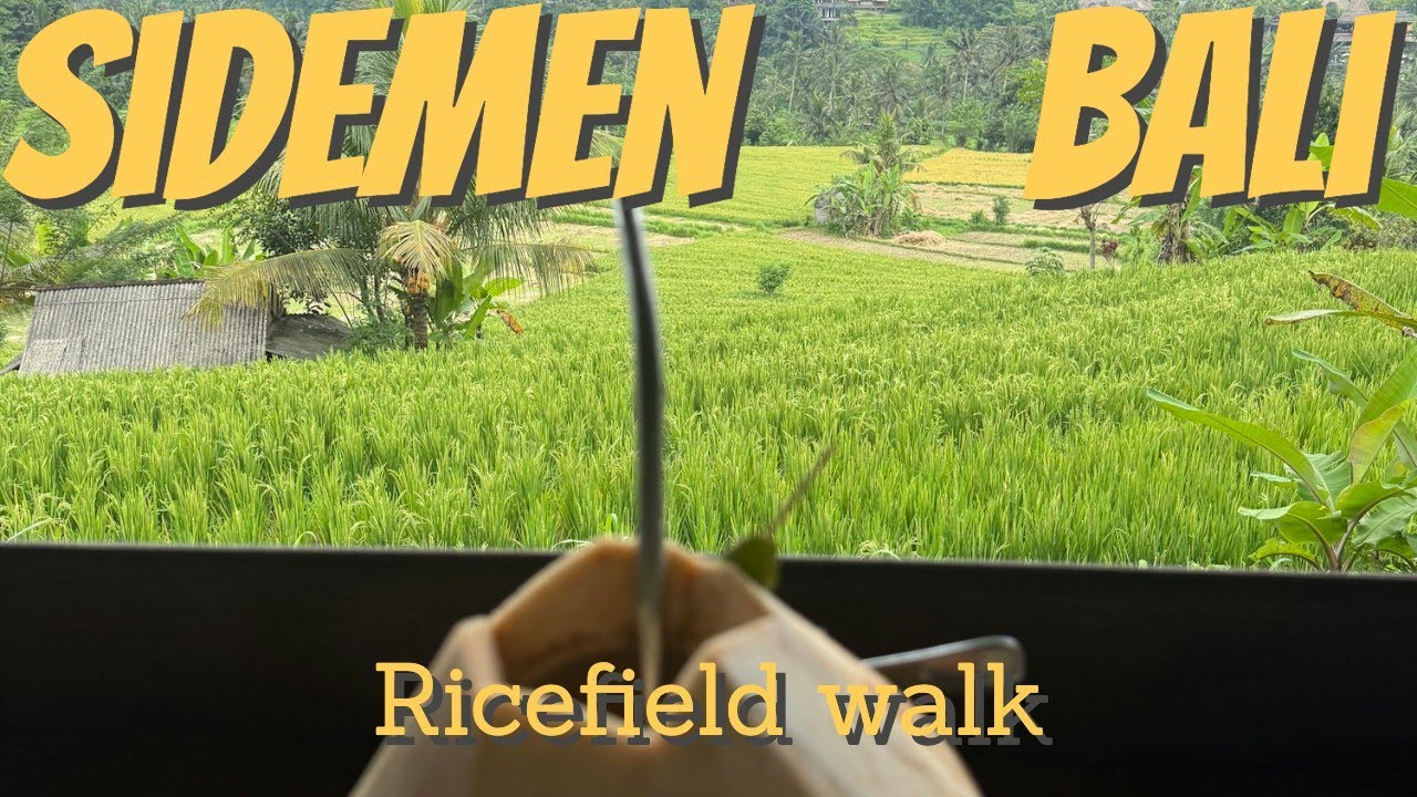 Сидемен Бали. Часть 3: Исследование мирных рисовых полей Сидемена, Бали