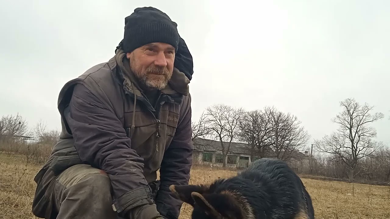 щенок н/о современного типа с хорошей пищевой и игровой мотивацией