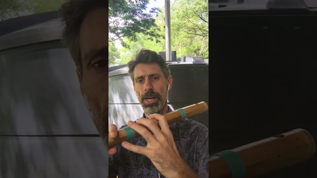 How to play Side Blown Flute - Beginner Lessons