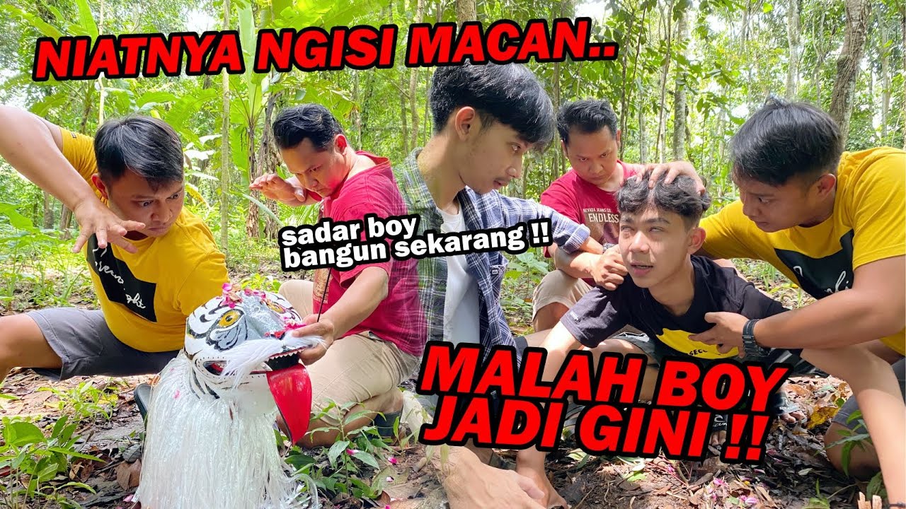 Kenapa Boy jadi gini !! PENGISIAN MACANAN BERAKIBAT FATAL
