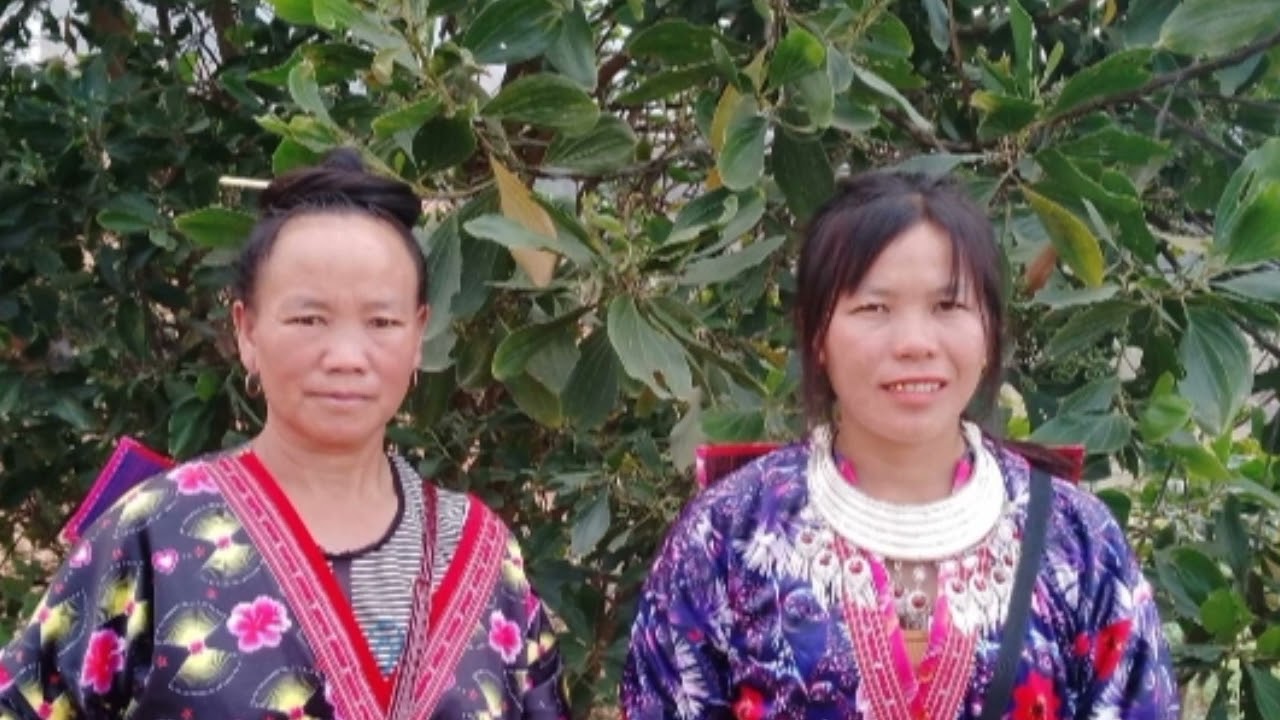 19 tháng 2, 2024