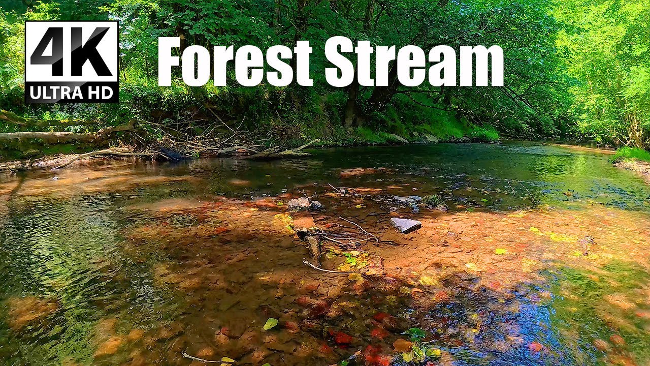 Forest Stream 🌿 3 Hours of Deep Relaxation & Meditation - Meditation 1073