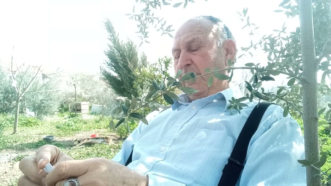 Hayalet Kentler 
