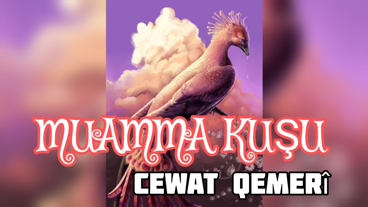 Teyrê Muamma I Werger û Xwendin: Cewat Qemerî