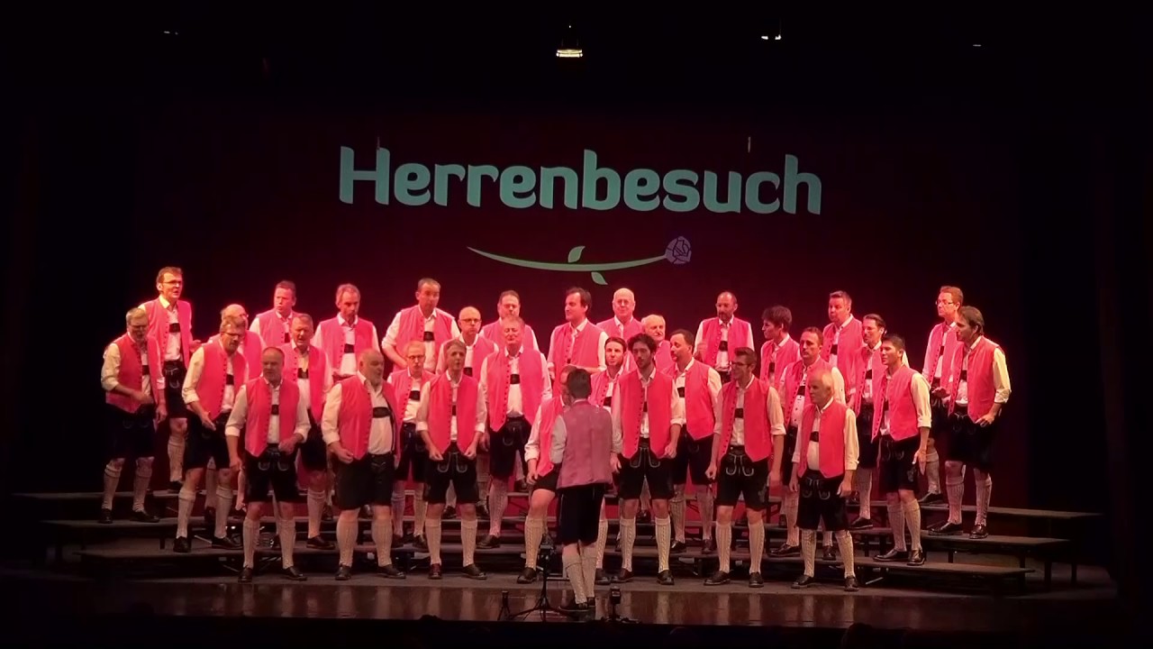 Spider Murphy Medley - Herrenbesuch