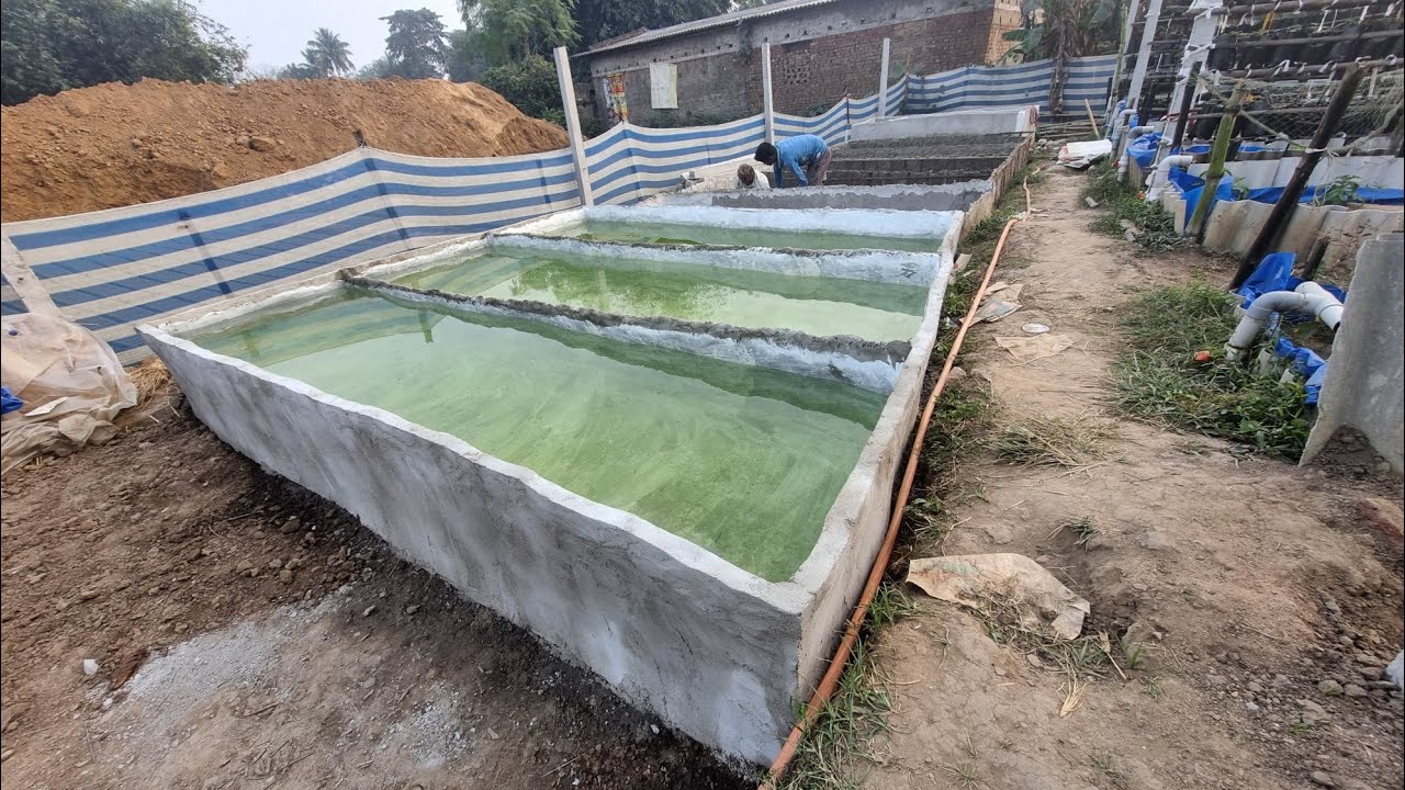 Low cost ferrocement fish tank,#fishfarming #aquaponic #hydroponic