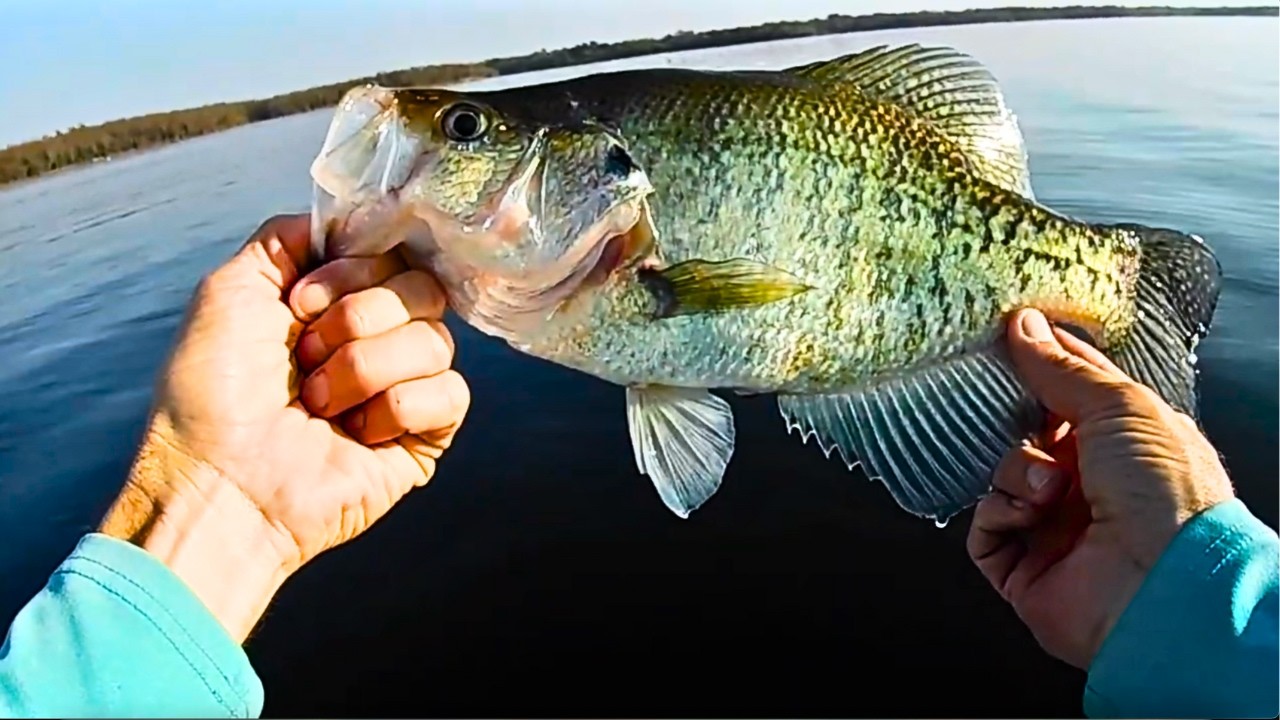 How I Catch BIG November Crappies - Two Days Different Ways