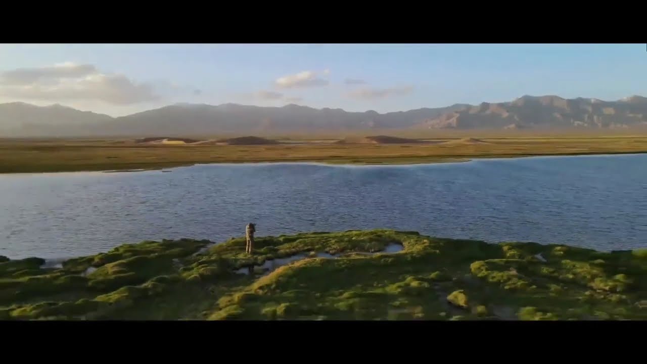 Where Grasslands Meet the Desert | The Silent Border of Nature