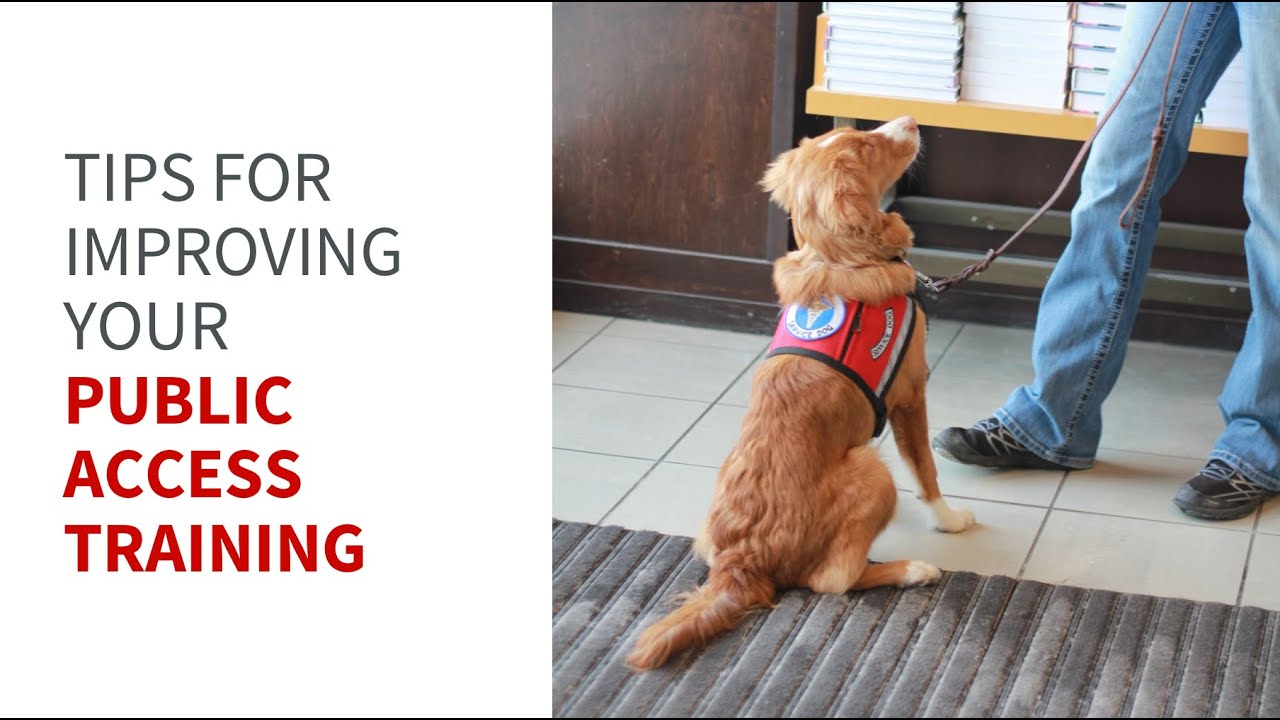 Tips for improving your public access training