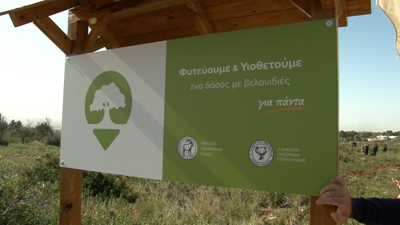 Οι κυνηγοί και οι οικογένειές τους υλοποιούν μαζικά δράσεις αναδάσωσης στις καμένες περιοχές
