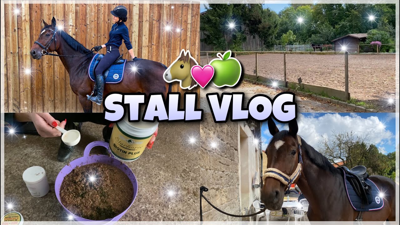 Ein Tag im Stall 🌸✨ (reiten, misten, f&uuml;ttern...) FMA