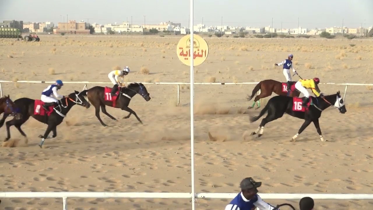 الشوط 6 بالحفل العاشر يوم الاثنين 25 -8-1446هـ