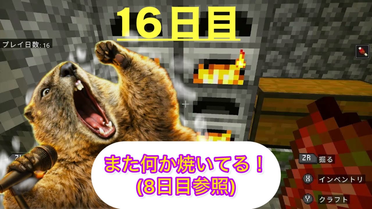 【マイクラ】家族で1人1日ずつ日替わりで進めたら何日でエンドラ討伐できる？｜16日目