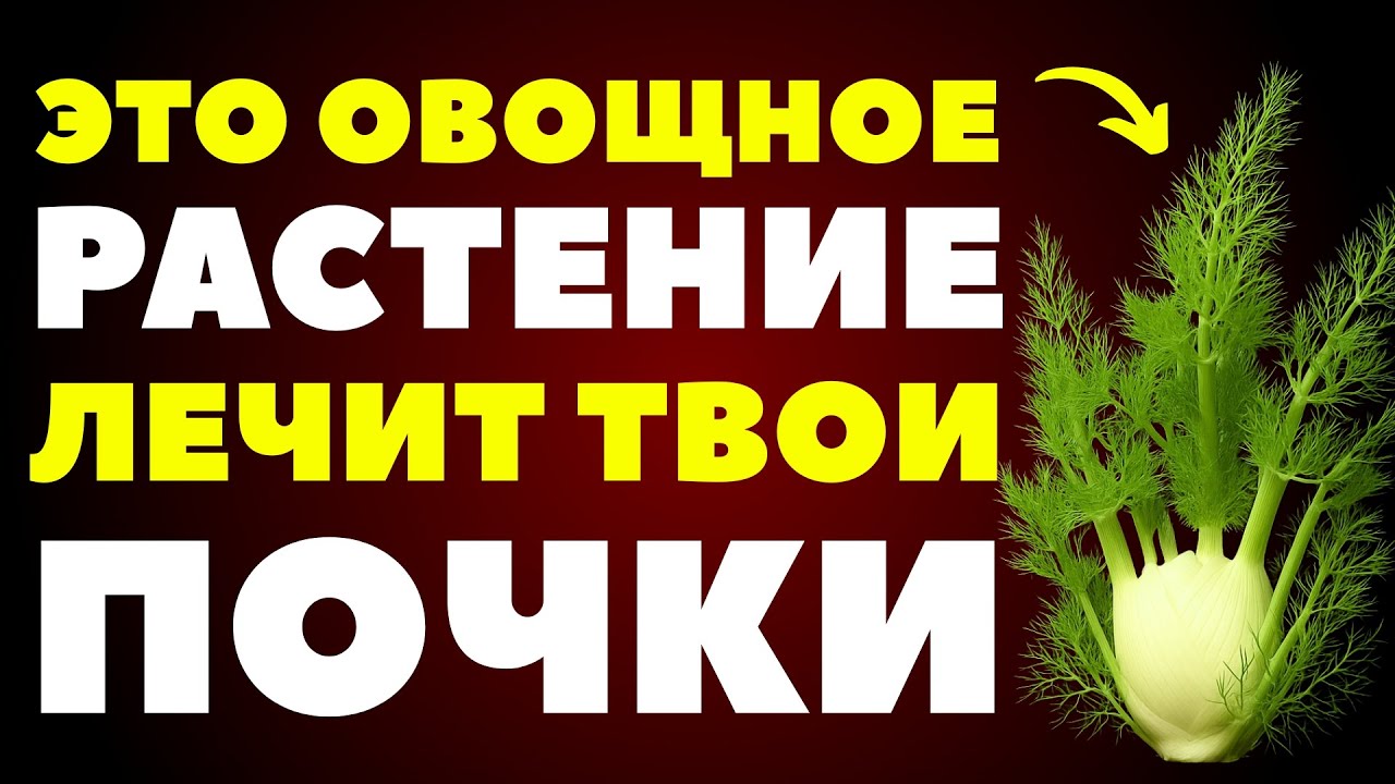 6 лучших овощей для снижения креатинина и лечения почек