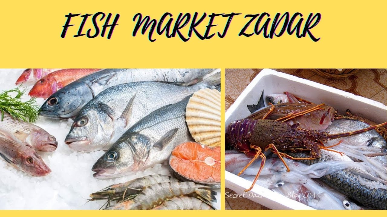 Ce găsești la piața din Zadar, Croația?! Așa ceva nu ai mai văzut! Fish market Zadar!